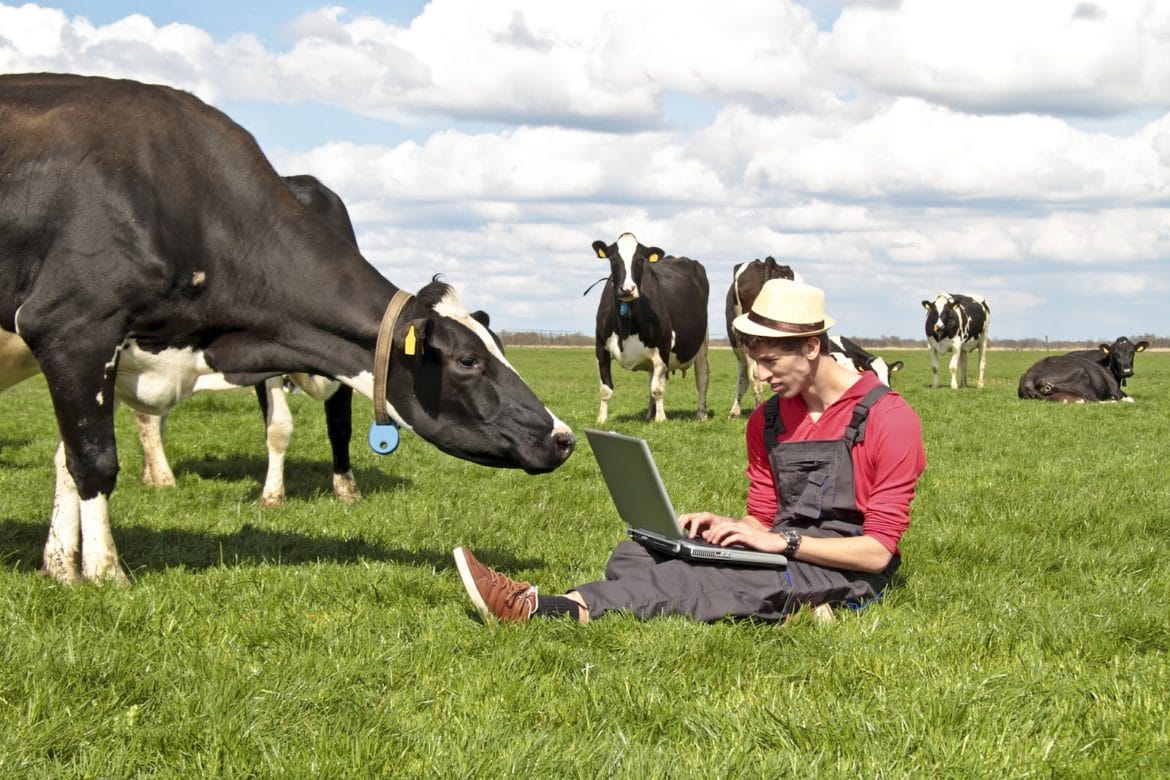 Agrotis Laptop Agrotikes, Sfirixtra.gr