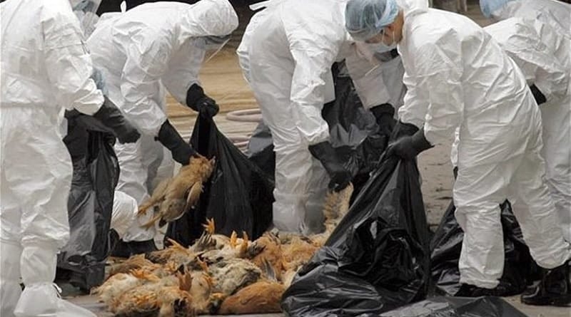 gripi twn ptinwn voulgaria