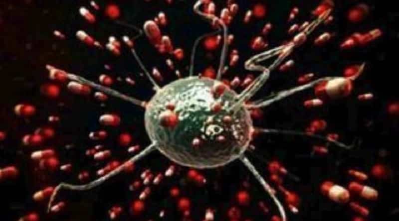 biologika-opla-sfirixtra