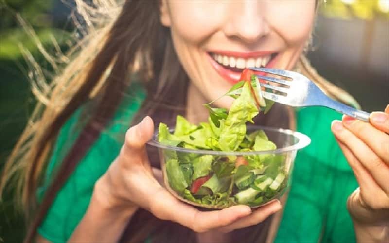 fytofagikh-sfirixtra