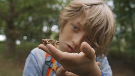 ntokimanter-sfirixtra