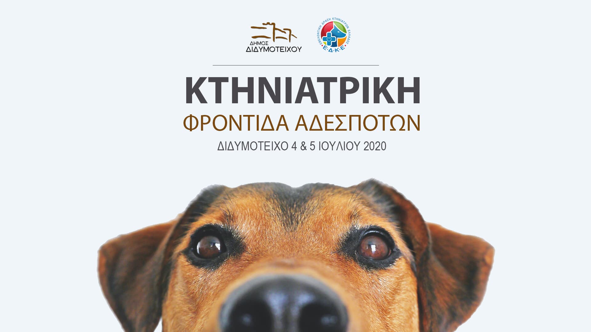 ΑΔΕΣΠΟΤΑ ΦΡΟΝΤΙΔΑ, Sfirixtra.gr