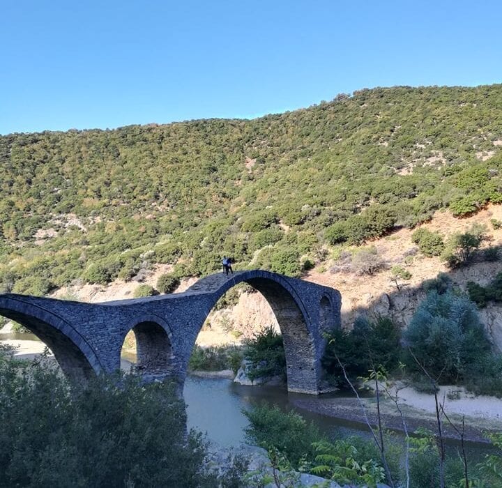 119878950_1325572837774182_141218693034784264_n