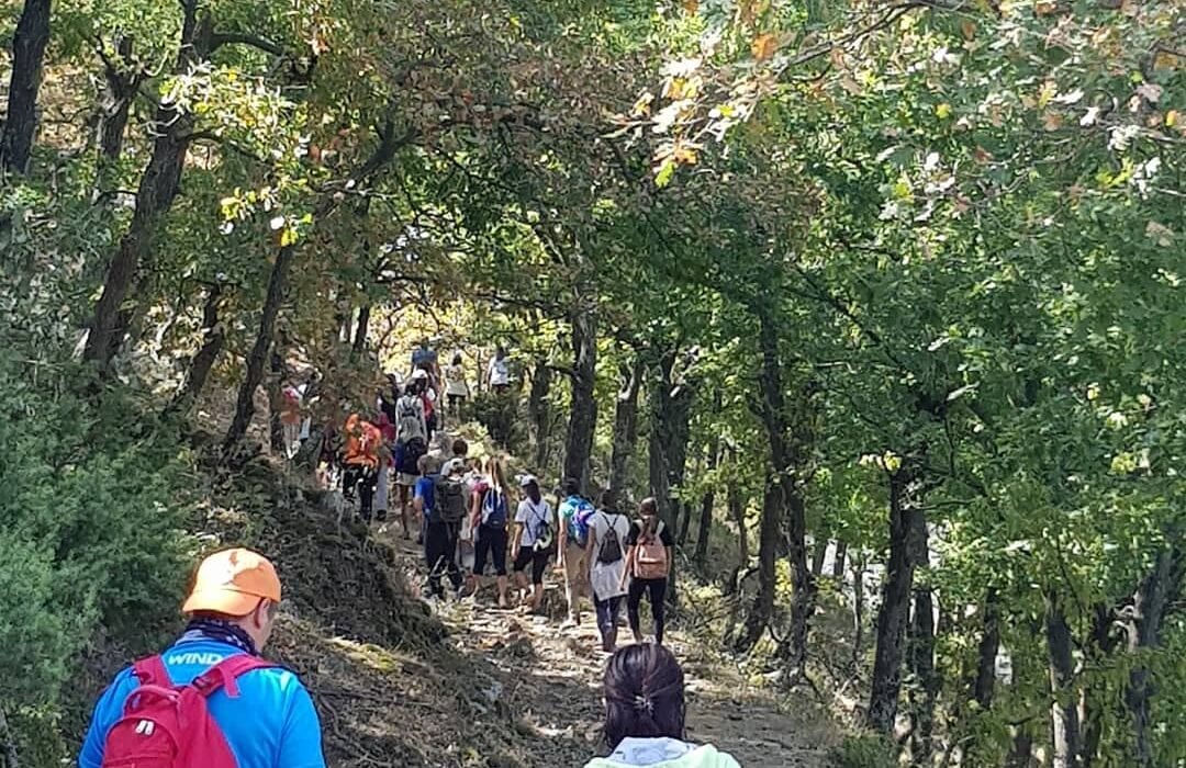 120001025_758312194901617_7398738762180011223_n