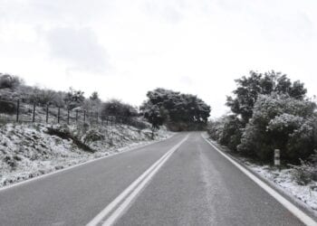 ÁÑÃÏËÉÄÁ - ×ÉÏÍÉÁ ÊÁÊÏÊÁÉÑÉÁ  ''ËÅÁÍÄÑÏÓ''. (Eurokinissi-ÐÁÐÁÄÏÐÏÕËÏÓ ÂÁÓÉËÇÓ)