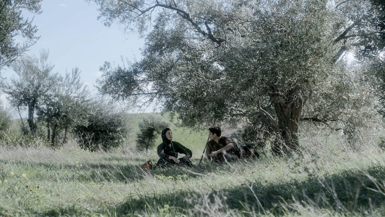 Το Διαφάνι το 1920 σε φωτογραφία στις Άγριες Μέλισσες