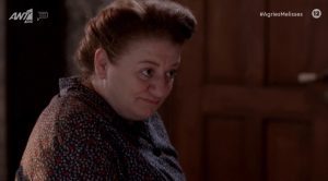 Η Μαρία Αντουλινάκη στις μέλισσες