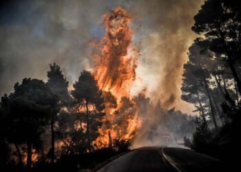 е񪡣霠󥠤ᳩꞠݪ&#x121ce7 󴧭 𥱩﷞ c񩫟&#x133860&#x12fd60䞬ﵠĩ񶽹&#xdb4c峳ᰟ&#x1b6c833&#x127b60Ž⯩ᠴ筠&#x1317f4砱3 u㯽󴯵 2019. Ǡ&#x1b9d29ܠ𡳥 𥱟𯵠󴩲 03:10 ꡩ ꡟ婠𥵪卵󯲠Natura, 𯵠埭᩠꡴ᶽ㩯 ܣ񩡲 湞򬠥&#xdfa0ݷﵭ ꩭ累𯩧襟 쥣ܫ岠䵭ܬ婲 &#x127ca0е񯳢峴骞򮊨EUROKINISSI/ׁ̉ˇӠʁсÉM͇ө