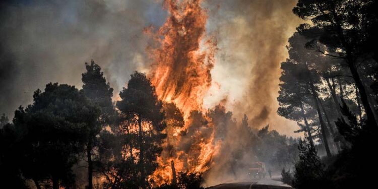 е񪡣霠󥠤ᳩꞠݪ&#x121ce7; 󴧭 𥱩﷞ c񩫟&#x133860;&#x12fd60;䞬ﵠĩ񶽹&#xdb4c;峳ᰟ&#x1b6c833;&#x127b60;Ž⯩ᠴ筠&#x1317f4;砱3 u㯽󴯵 2019. Ǡ&#x1b9d29;ܠ𡳥 𥱟𯵠󴩲 03:10 ꡩ ꡟ婠𥵪卵󯲠Natura, 𯵠埭᩠꡴ᶽ㩯 ܣ񩡲 湞򬠥&#xdfa0;ݷﵭ ꩭ累𯩧襟 쥣ܫ岠䵭ܬ婲 &#x127ca0;е񯳢峴骞򮊨EUROKINISSI/ׁ̉ˇӠʁсÉM͇ө