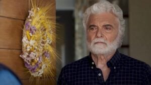 Η Γη της Ελιάς: «Αφεντικό θέλω να με πάρεις δίπλα σου»