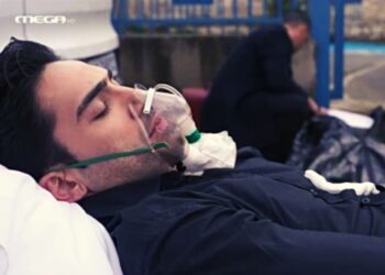 Ο Κουράκος στην γη της ελιάς