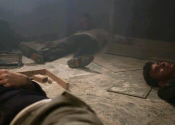 Άγριες Μέλισσες θάνατος Διαφάνι