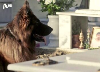 Η Μανταρίνα