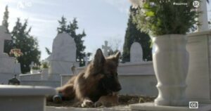 Η Μανταρίνα και ο Πετρής στη σειρά Σασμός