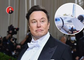 Elon Mask