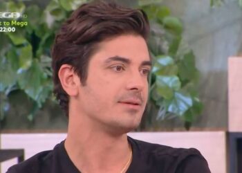 Ο Γκοτσόπουλος για το τέλος των Άγριων Μελισσών