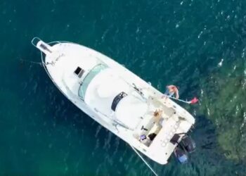 Το πρώτο τρέιλερ του Love Island