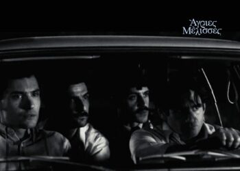 Φωτογραφίες από τις Άγριες Μέλισσες