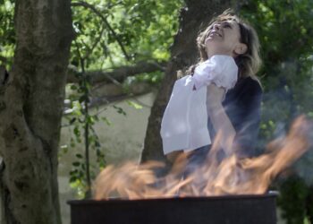 Η Μυρσίνη μαθαίνει την αλήθεια στις άγριες μέλισσες