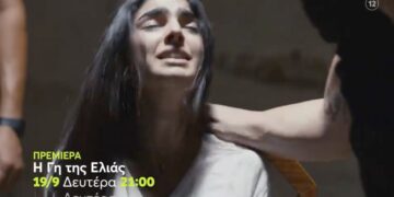 Η Βασιλική που υποφέρει στη γη της ελιάς
