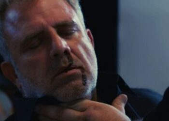 Στάθης γη της ελιάς