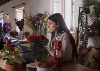 Η Βασιλική και η εγκυμοσύνη της γη ελιάς