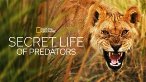 disney+ ιανουάριος ταινίες σειρές - secret life of predators