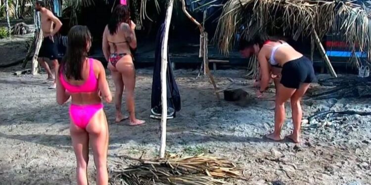 survivor Κατσούλης