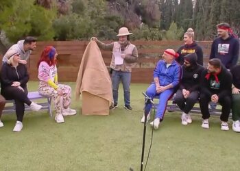 Καλό Μεσημεράκι Survivor