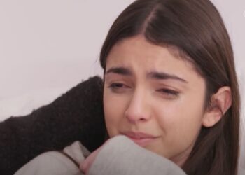 Βασιλική γη της ελιάς