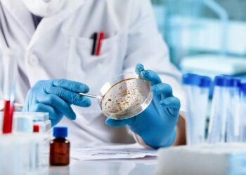 Επιστήμονες έφτιαξαν συνθετικά ανθρώπινα έμβρυα Εγείρονται σοβαρά ηθικά και νομικά ζητήματα 350x250, Sfirixtra.gr