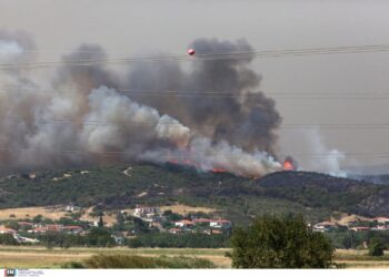 Φλέγεται για πέμπτη ημέρα ο Έβρος – Το μεγάλο πύρινο 350x250, Sfirixtra.gr